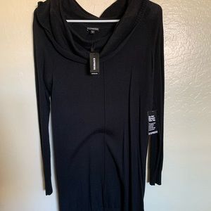Express sweater dress